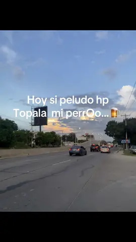#delenlikeapoyen😋