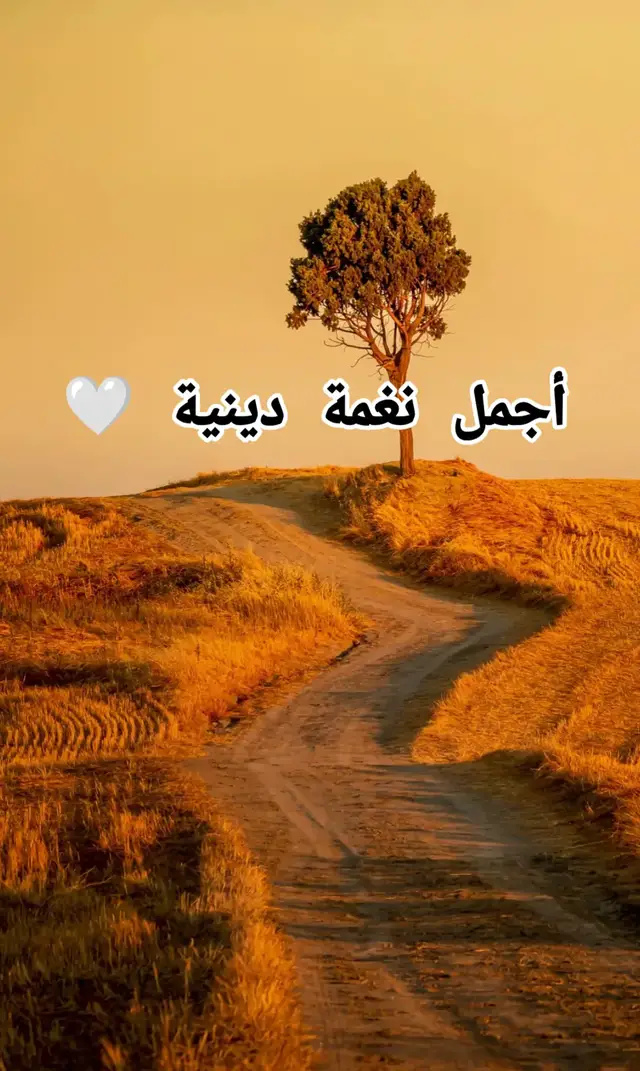 #نغمة_إسلامية #foryoupages #نغمة_دينية #ringtones #نغمات🎻 
