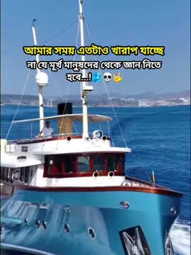 মূর্খ দের থেকে জ্ঞান নিতে হবে..!🫂💀 #foryou #foryoupage #fyp #fupシforyou #lyricsvideo @TikTok @TikTok Bangladesh 