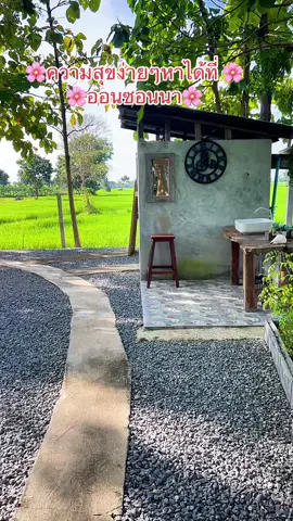 #คาเฟ่ทุ่งนา #คาเฟ่นั่งชิล #ออนซอนนาคาเฟ่ #คาเฟ่เชิงเกษตร #คาเฟ่กลางทุ่งนา เปิดทุกวันศุกร์ เสาร์ อาทิตย์ เวลา 08.09-18.00 น. มีอาหาร กาแฟสด ขนมเค้กโฮมเมดให้บริการนะคะ🍵☕️🍰🍇