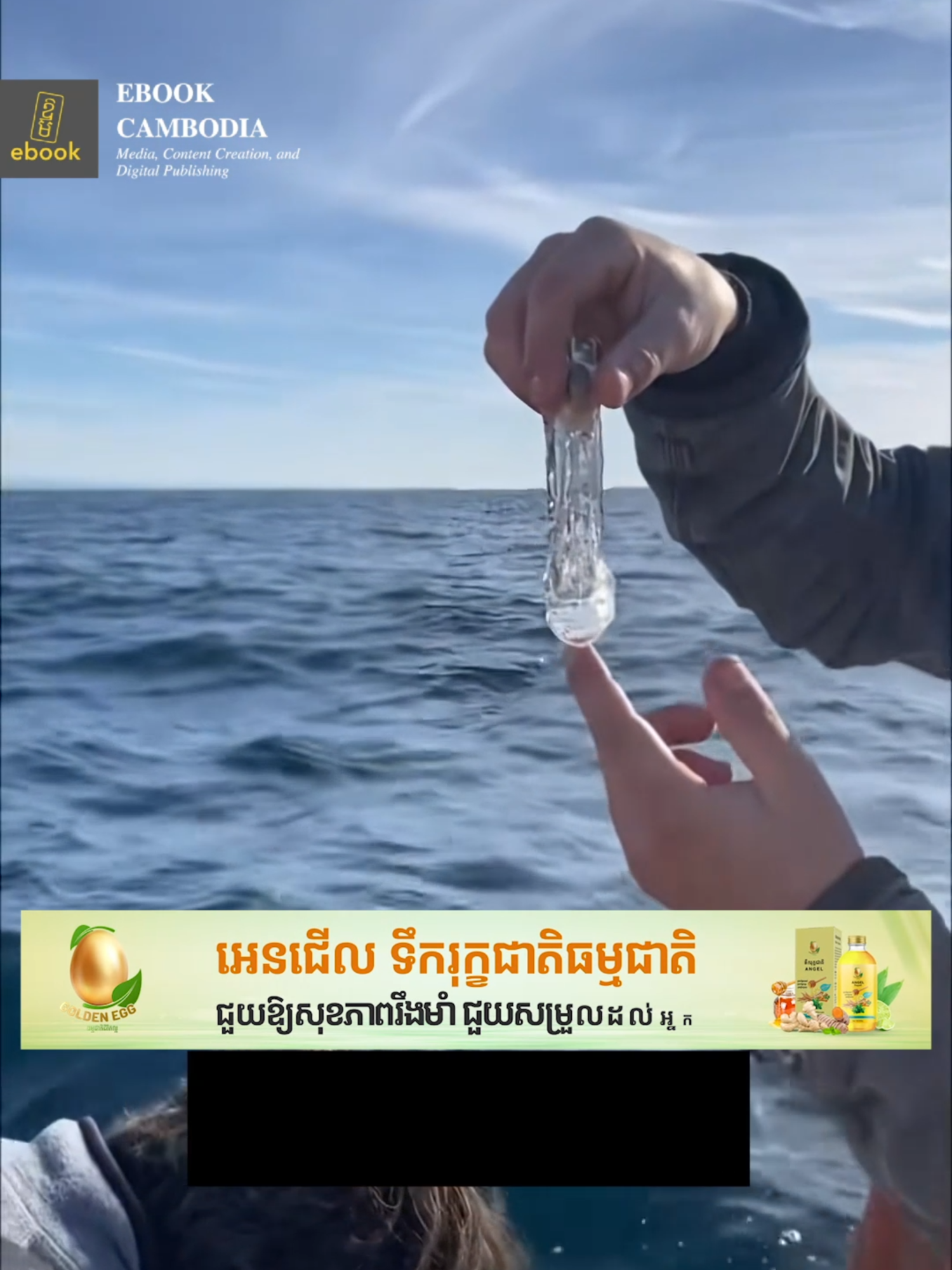 🌊✨ អ្វីដែលមើលទៅដូចជាបំណែក ផ្លាស្ទិចអណ្តែតទឹក តាមពិតវាមិនមែនផ្លាស្ទិចទេ  វាជាសត្វសមុទ្រមានជីវិតឈ្មោះ Salp!🪼🕸 ដូច្នេះ លើកក្រោយបើអ្នកឃើញអ្វីដូចផ្លាស្ទិចអណ្តែតសមុទ្រ វាអាចជាសត្វសមុទ្រចម្លែក និងអស្ចារ្យបំផុត😲🤩