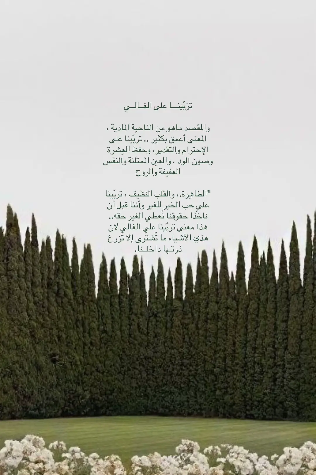 #مَــرّ #fy 