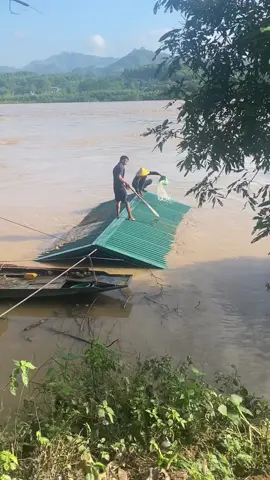 Cố lên 