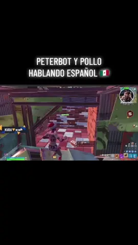 #fyp #peterbot #fortnite #pollo 