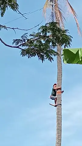 dicicapar 🤣🤣