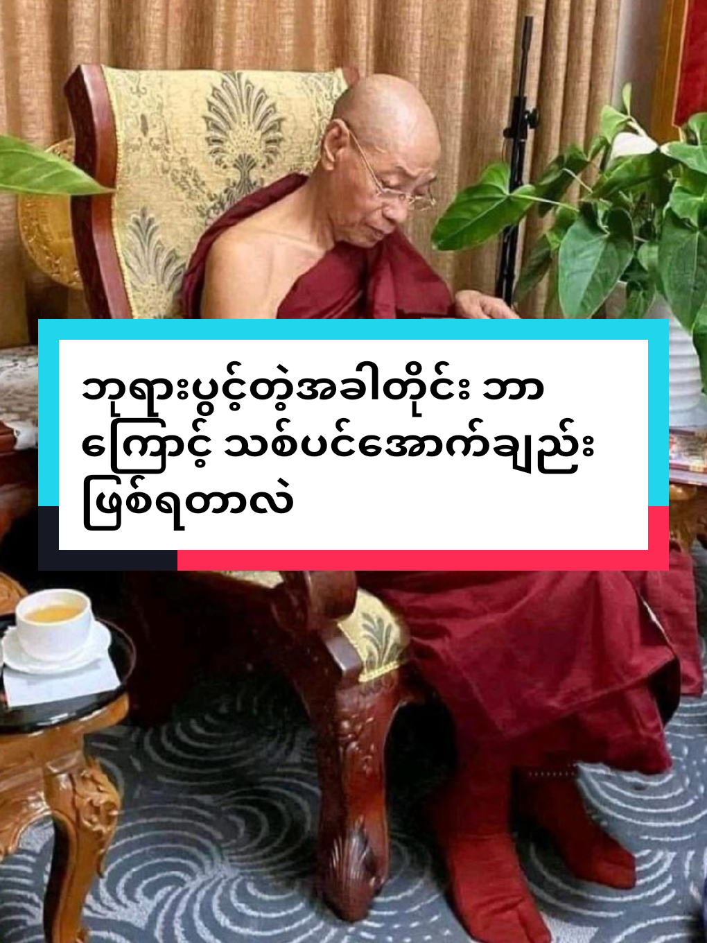 ပါချုပ်ဆရာတော်ဘုရားကြီး #ပါချုပ်ဆရာတော်ဘုရားကြီး #တရားတော်များ #ဒေါက်တာနန္ဒမာလာဘိဝံသ #fypシ゚viral #fypage 