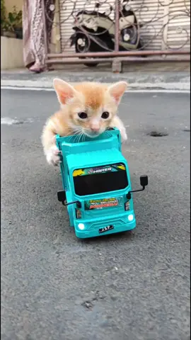 Truk oleng mainan terbaru #mainanviral #trukoleng #mobilmainan #funnyvideos #mainananak 