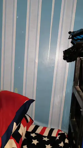 HITAMM MENGGODAAA 😝🤗😍🤩@807garage #promoseruweekend #fyppppppppppppppppppppppp #niketn #school #kalcer 