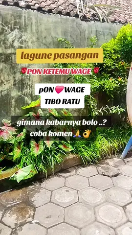 lagune pasangan pon ketemu wage,coba komen bolo..? #wetonjowo #ponwage #cinta #pasangan #lewatberanda 
