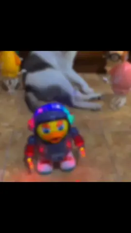 #lewatberandafyp #katakatamanado #sangihestory #fyppppppppppppppppppppppp #foryoupage 