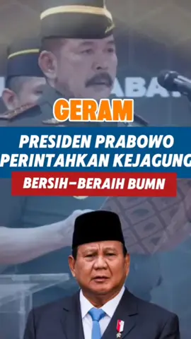 Preside Prabowo minta Kejakgung bersihkan BUMN #prabowopresiden2024 #kejakgung #bumn 