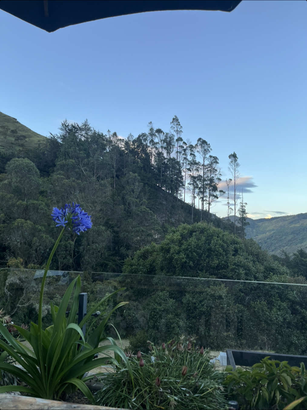 Volver a abrazarte y empezar de nuevo, y empezar de nuevo #carlosvives 