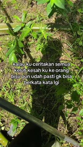 #fyp #sawitontiktok #🌴🌴🌴🌴 