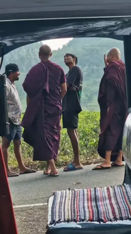 බීජ 🍃