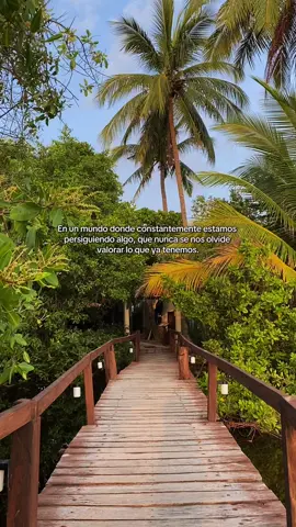 🌴🌞#nature #paisajes #inspiration #frasesmotivadoras #fyppppppppppppppppppppppp 