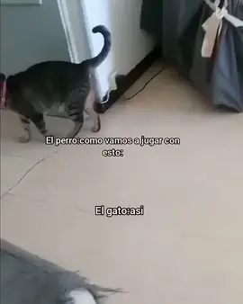 como vamos a jugar con esto 