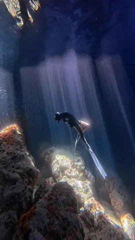 Hòn Trứng - Đảo Phú Quý - Việt Nam @Phu Quy Mermaids - Tour Lặn  #CapCut #viral #xuhuong #freediving 