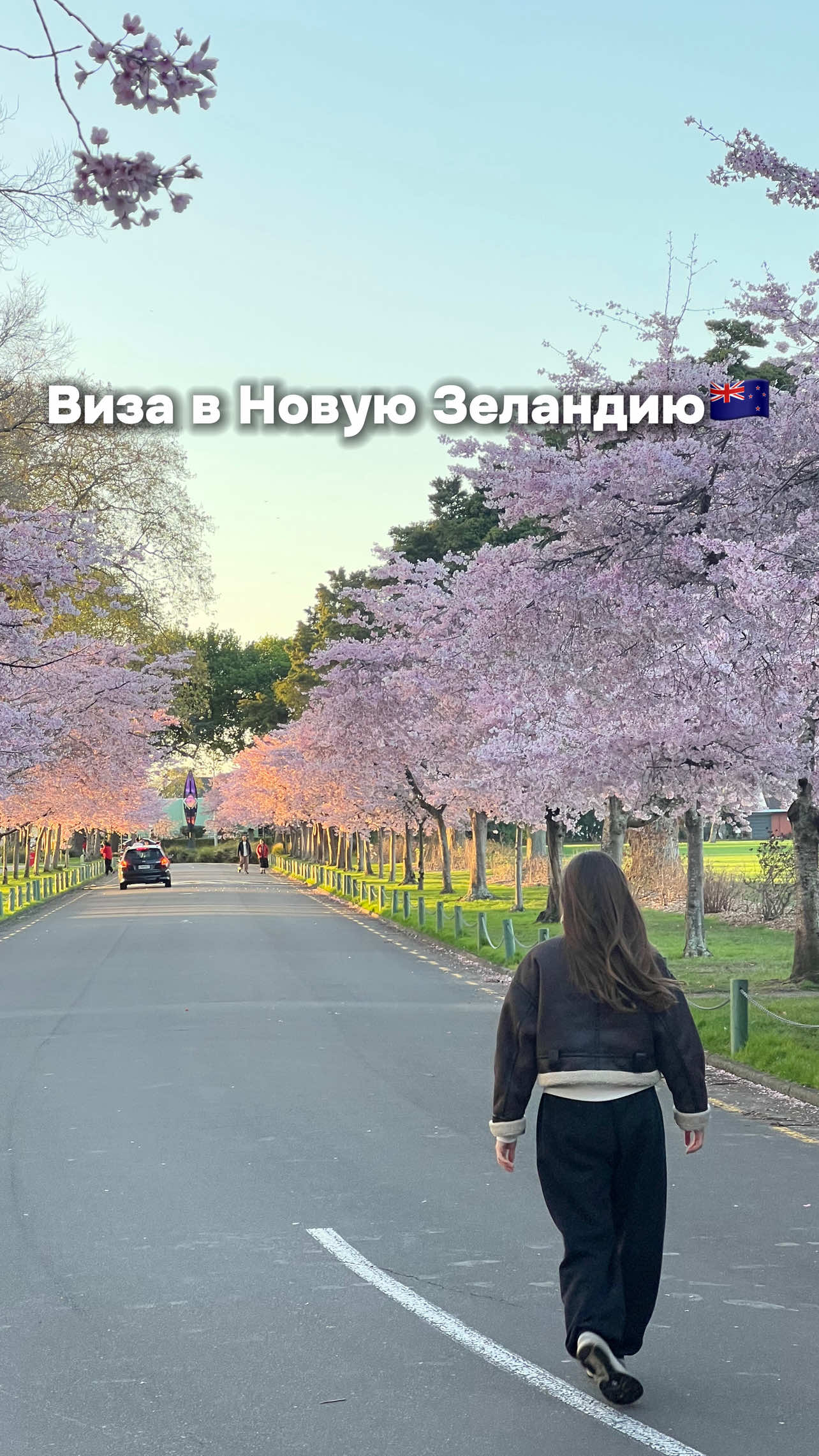 Вкратце про визу в Новую Зеландию 🇳🇿 ❗️примечание: я не консультант в получении визы и переезда в НЗ, тут я делюсь своим личным опытом #новаязеландия 