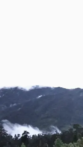 #tiktok #tniindonesia🇮🇩 #fy #trending #fyp 