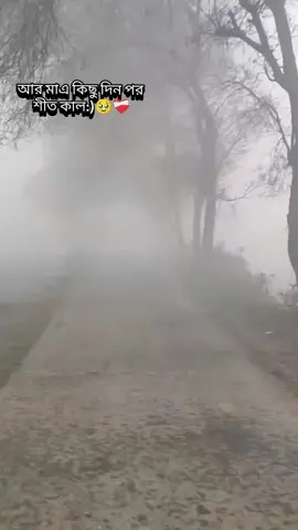 #আর মাএ কিছু দিন পর শীত কাল 🥹❤️‍🩹 #foryoupage #tiktok #vairal #video 