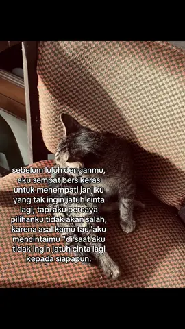 #fyp 