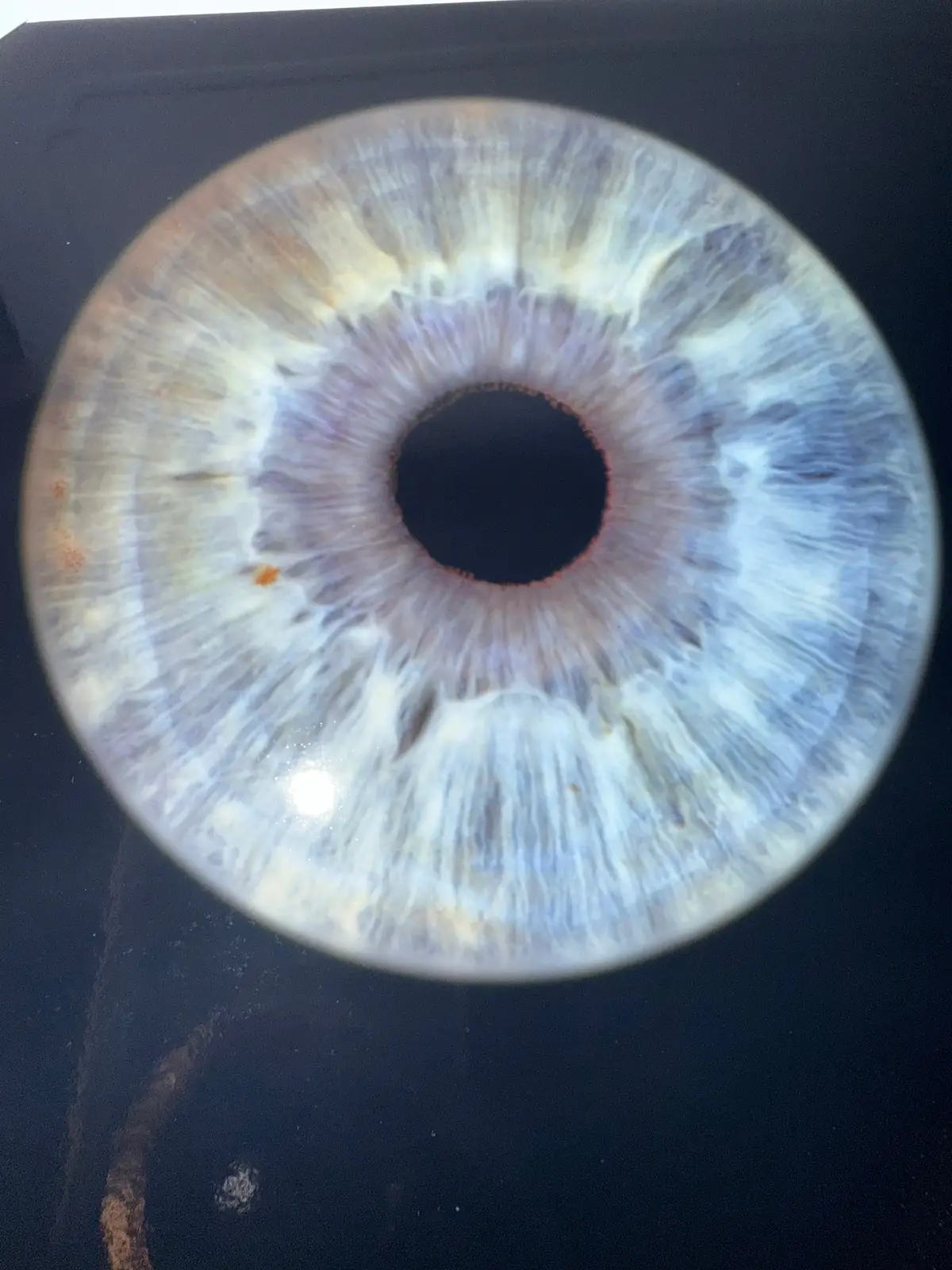 Close up of my eye 👁️ 