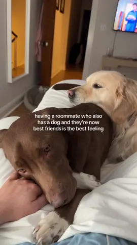 this is everything @Sydney 