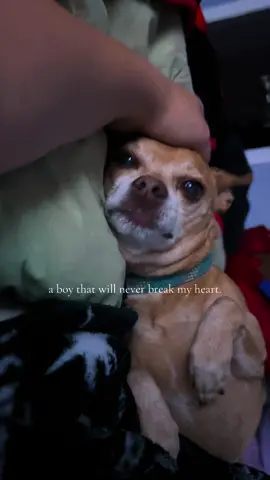 Sweet boy