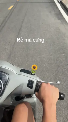 …#fyp #xuhuong #vissme 