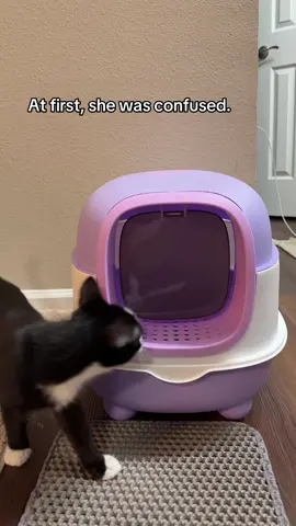 It’s much better!!!! #foryoupage #fyp #cats #october #helps 