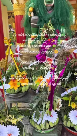 #ခုနှစ်ရက်သားသမီးများ# #ဗေဒင်မေးမြန်းနိုင်သည် viber09799029233 တိုက်ရိုက်ဖုန်းဆက်ပေးပါ#