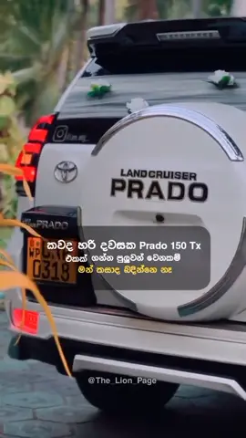 බදින්නෑමයි 😞 #prado #trending #fyp #srilanka #viral 