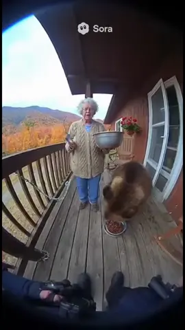 From cookies to court cases #police #grandma #bear 
