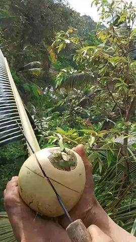 Seribu halangan tetap di kerjakan #kelapamuda #fyppppppppppppppppppppppp #foryoupage #kebumen24jam #trending 