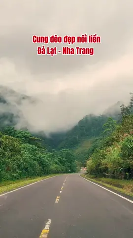 Cung đường đèo tuyệt đẹp nối liền Đà Lạt - Nha Trang #dalat #tiendalat #rongchoidalattravel #rongchoidalatgroup #dalatstory 
