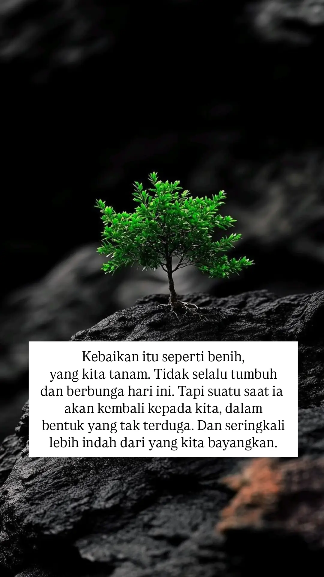 Amin 🤍😇 #storyrohanikristen #motivasirohani #fyp 