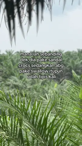 Kacawww dek #storysawit🌴🌴 #sawitontiktok #petanisawit #sawitriau #petanimuda #bosmuda 