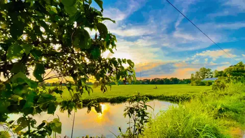 প্রকৃতিকে অনুভব করলেই জীবন রঙিন হয়।#প্রাকৃতিক_সুন্দর্য 