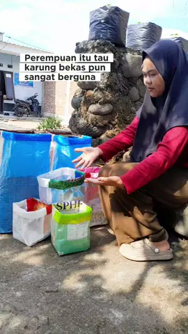 punya karung bekas jangan dibuang dulu, bisa jadi Polybag estetik loh #fyppppppppppppppppppppppp #minigarden #polybag #handmade 