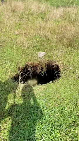 The fifth SINKHOLE in Sitio San San, Maño, San Remigio, Cebu. Matapos ang Earthquake 6.9 magnitude.😭😭😭 #fyp #sanremigioearthquake #sanremigiocebu #visayas #everyone 
