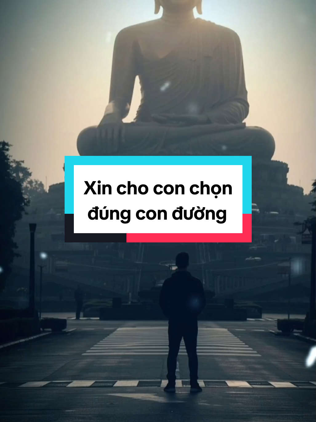 Xin cho con chọn đúng con đường mình đã đi...#phatphapnhiemmau #phatphap #loiphatday #phatgiao #phatphapvobien 
