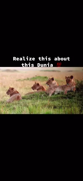 Let’s be intelligent and prepare  #fypシ゚viral #muslimtiktok #foryoupage #titokviral #islamic_video 