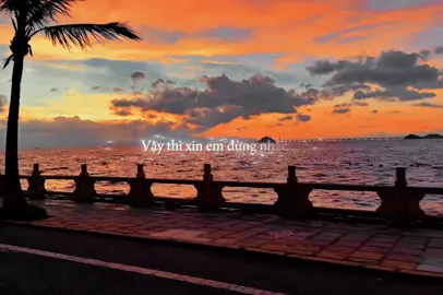 Vậy thì xin em đừng nhắc...!#fyp #lyrics #09th02_8 #tamtrang #thinhhanh 