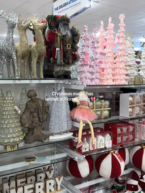 Just the start to the most magical time of year 😍🎄 (📹 @alm.angie) #homegoodschristmas