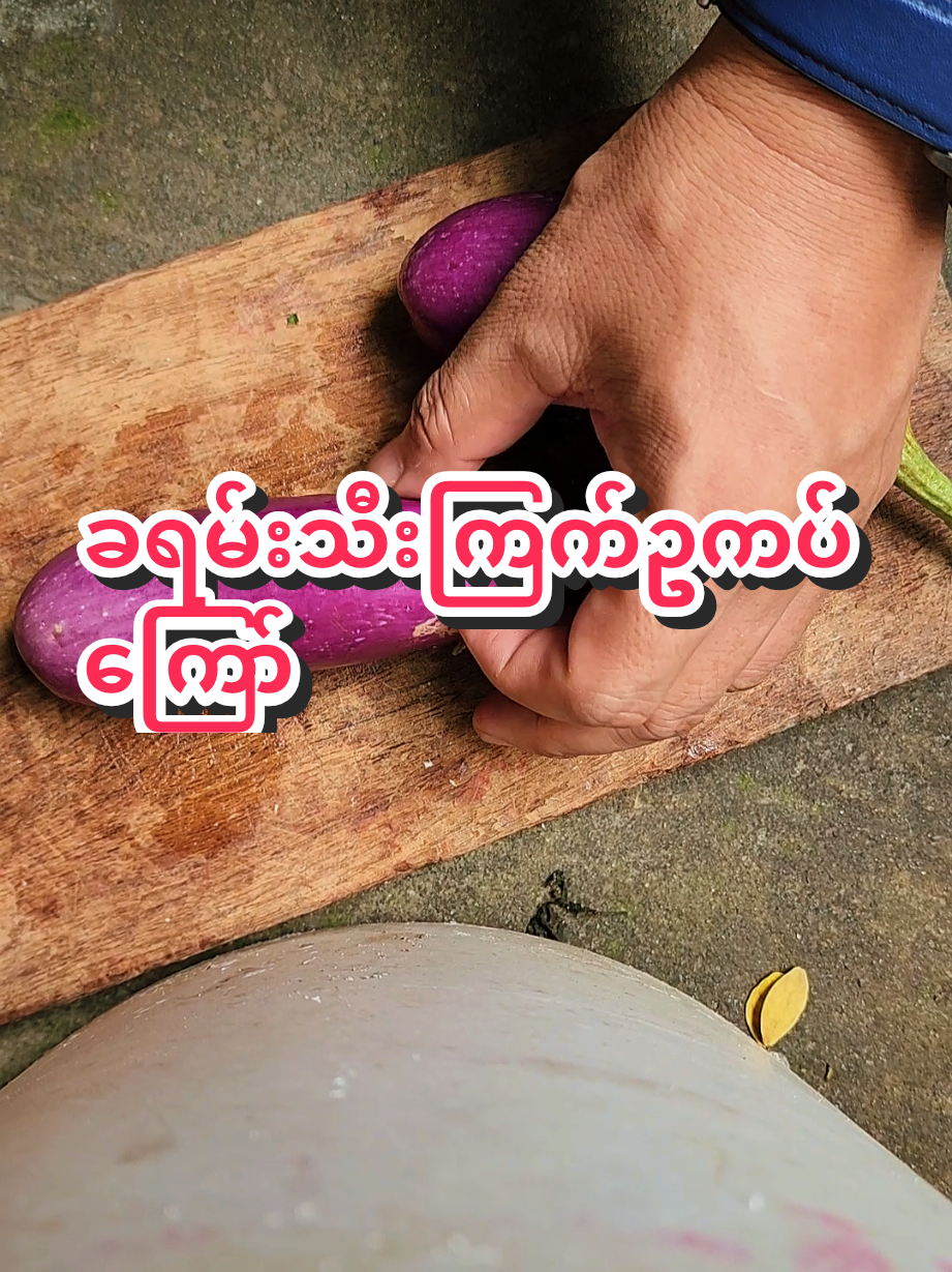 #ဟင်းချက်ကြမယ်tiktokမှာ #အိမ်ရှင်မတွေဆီရောက် #ဟင်းချက်နည်း 