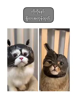 😜