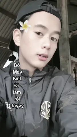 nghe chưa 