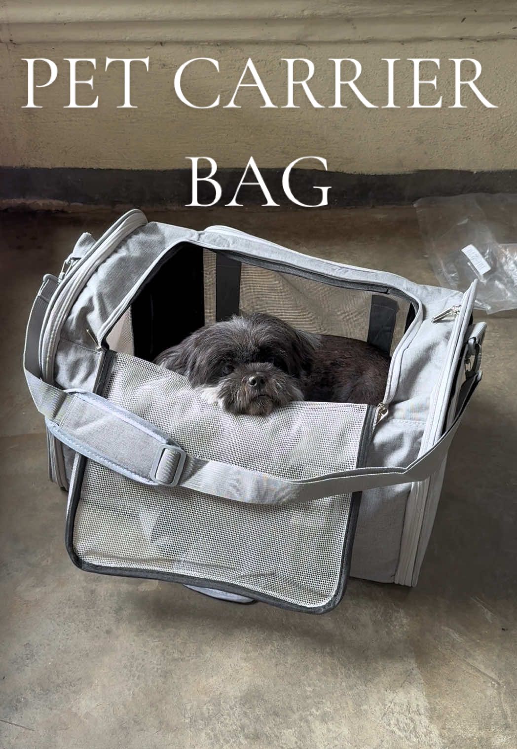 Safe & well ventilated kapag itong pet carrier bag ang gamit natin sa mga travel natin with fur baby!🐾🧳 #petcarrier #dogcarrier #petcarrierbag #pettravelbag #petwell Disclaimer: Prices and details of the products may change once the video is published. The creator is not liable for any changes after the video published. Prices may vary until promotion ends. Any changes on the product may happen. No therapeutic claims. No copyright infringement intended.