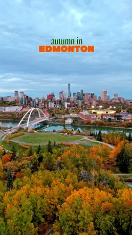 “The golden colors of fall paint Edmonton with such beauty! 🍂✨ Grateful to God for this breathtaking season and His marvelous creation all around us.”  #edmontonalberta #autumn2025