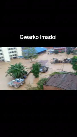 #flood 